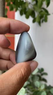 和田玉奶白青花籽料,黑白分明,油性好,脂粉高,籽型超好